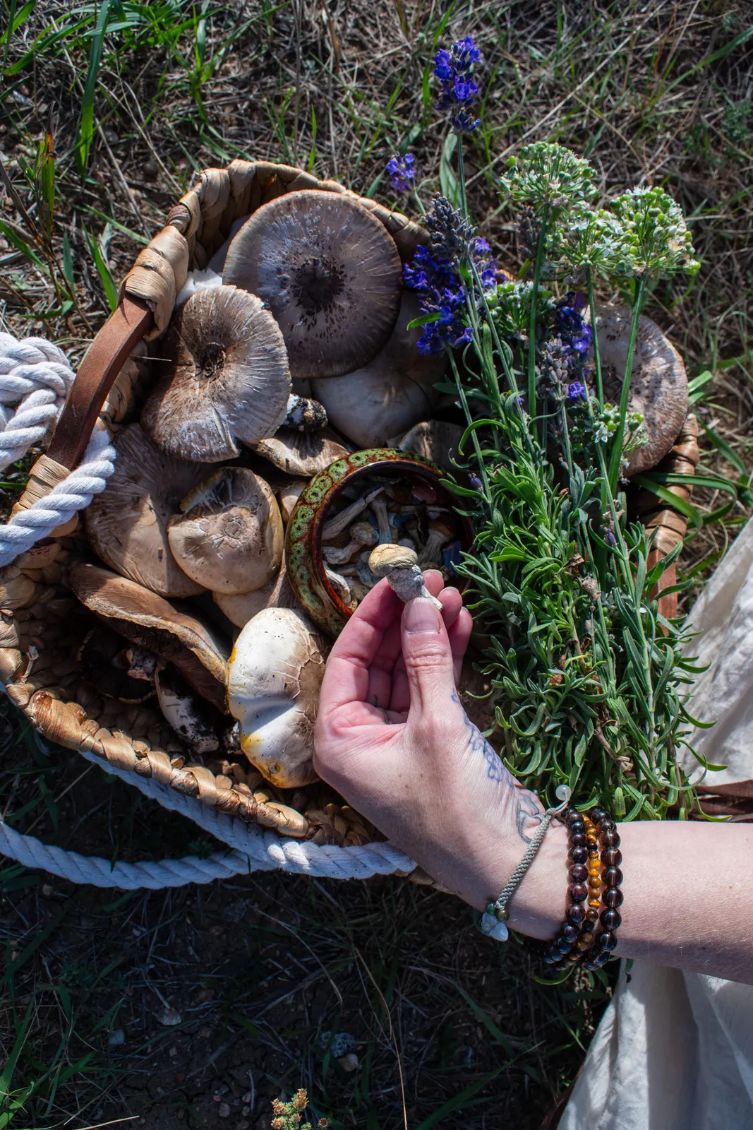 Rising Roots Sanctuary