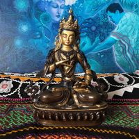 Ayahuasca Retreats in the Netherlands