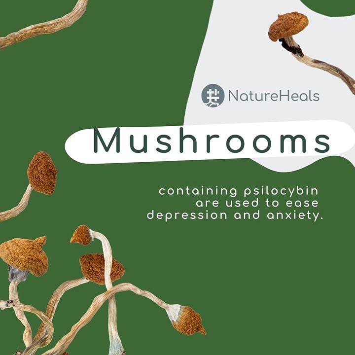 #NatureHeals poster