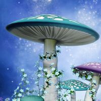 Gaia Sagrada Magic Mushroom Retreats in Jamaica