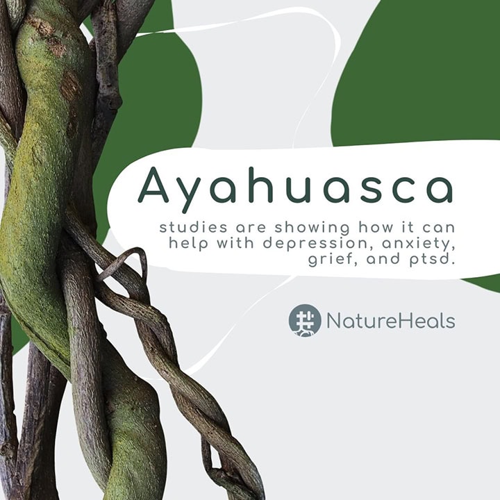 #NatureHeals poster