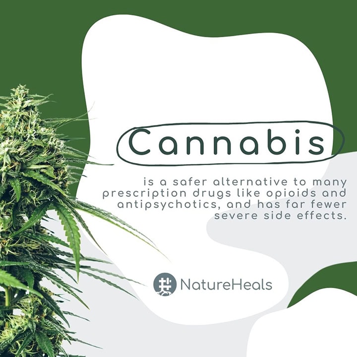 #NatureHeals poster