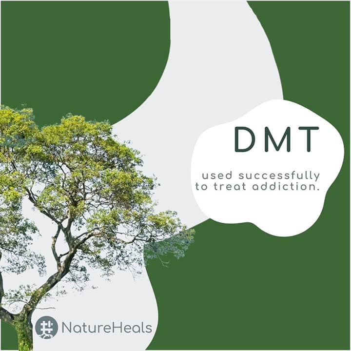 #NatureHeals poster