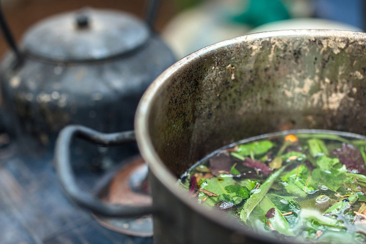 Ayahuasca versus DMT