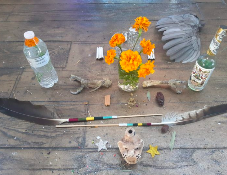 Sacred Mushroom + Cacao & Ayahuasca Ceremonies in Kentucky, Texas & Colorad