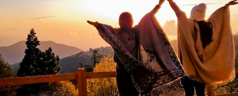 Ayahuasca Retreats with a Traditional Indigenous Doctor in California