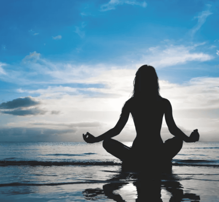 Mushroom Retreat: Find Your Purpose and Be Born Again Holistically