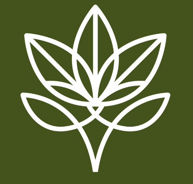 Ayahuasca, Cacoa & Sacred Tobacco Ceremonies in Mexico