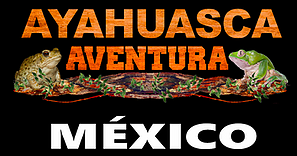 Bufo, Kambo & Ayahuasca Ceremonies in Mexico