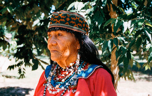 Traditional and Authentic Ayahuasca Retreat with Shipibo Healers