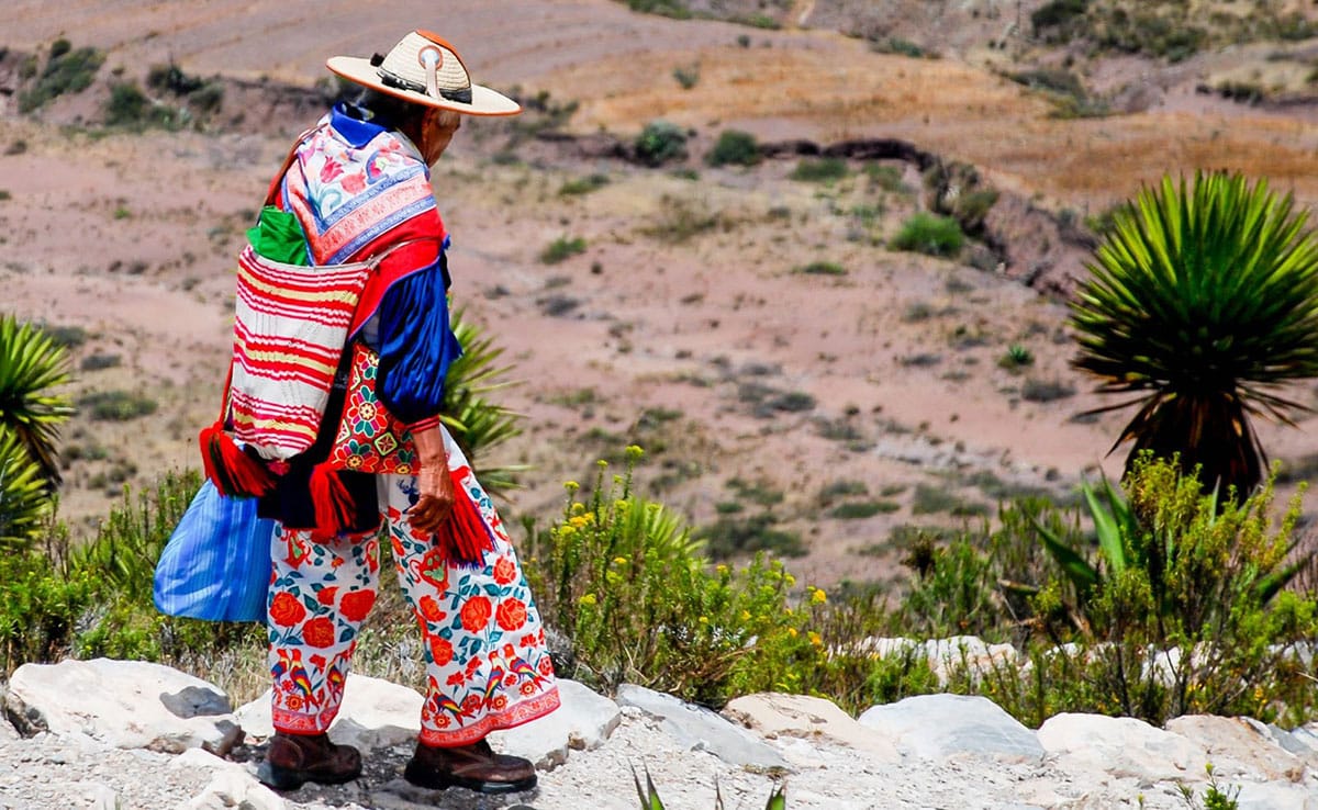 Wixárika Peyote Pilgrimage