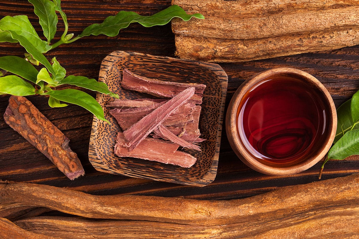 ayahuasca neurogenesis