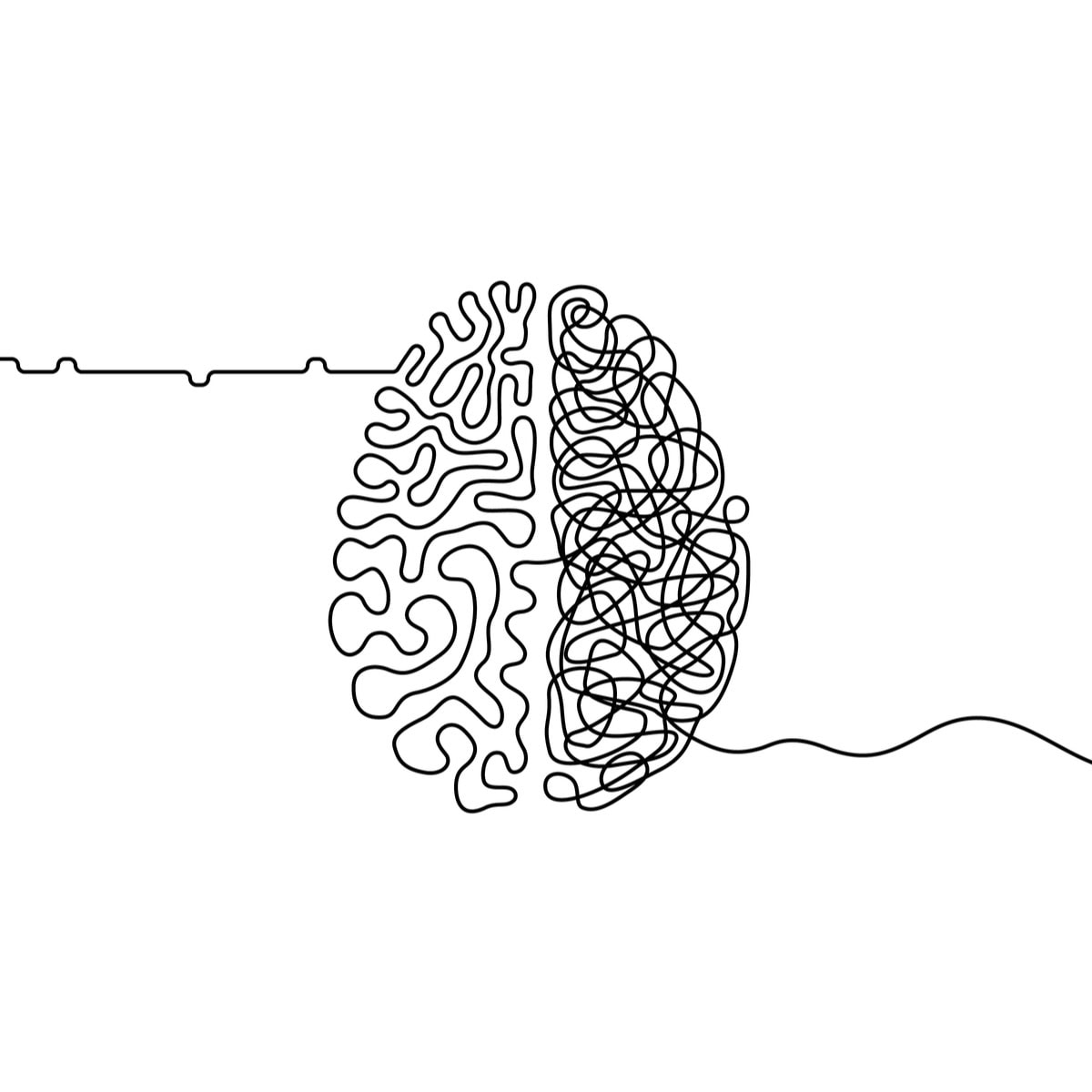 default mode network psychedelics