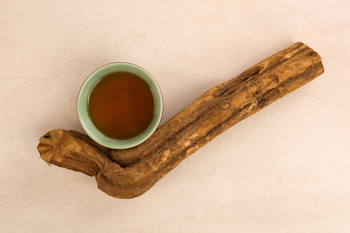 find ayahuasca retreat