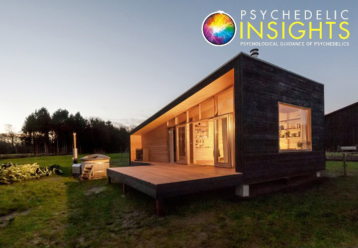 Psychedelic Insights