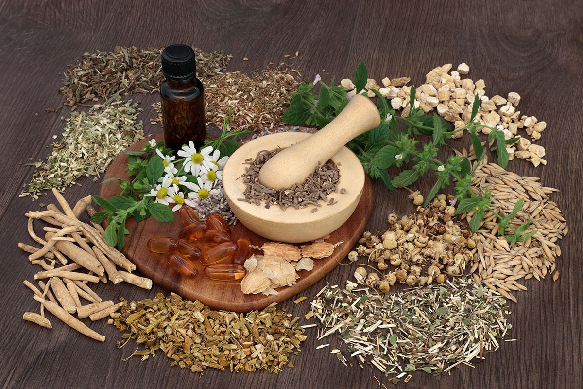 psychedelic Mushroom herbal Combinations