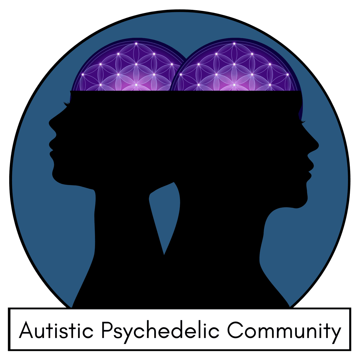 Autistic Psychedelic Community