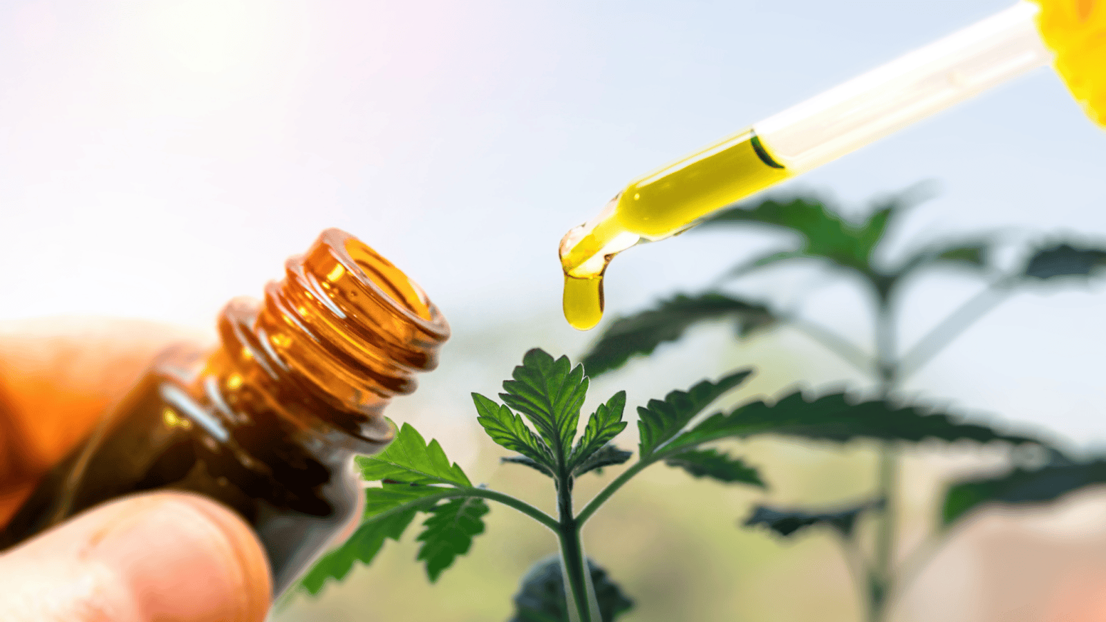 CBD chronic pain