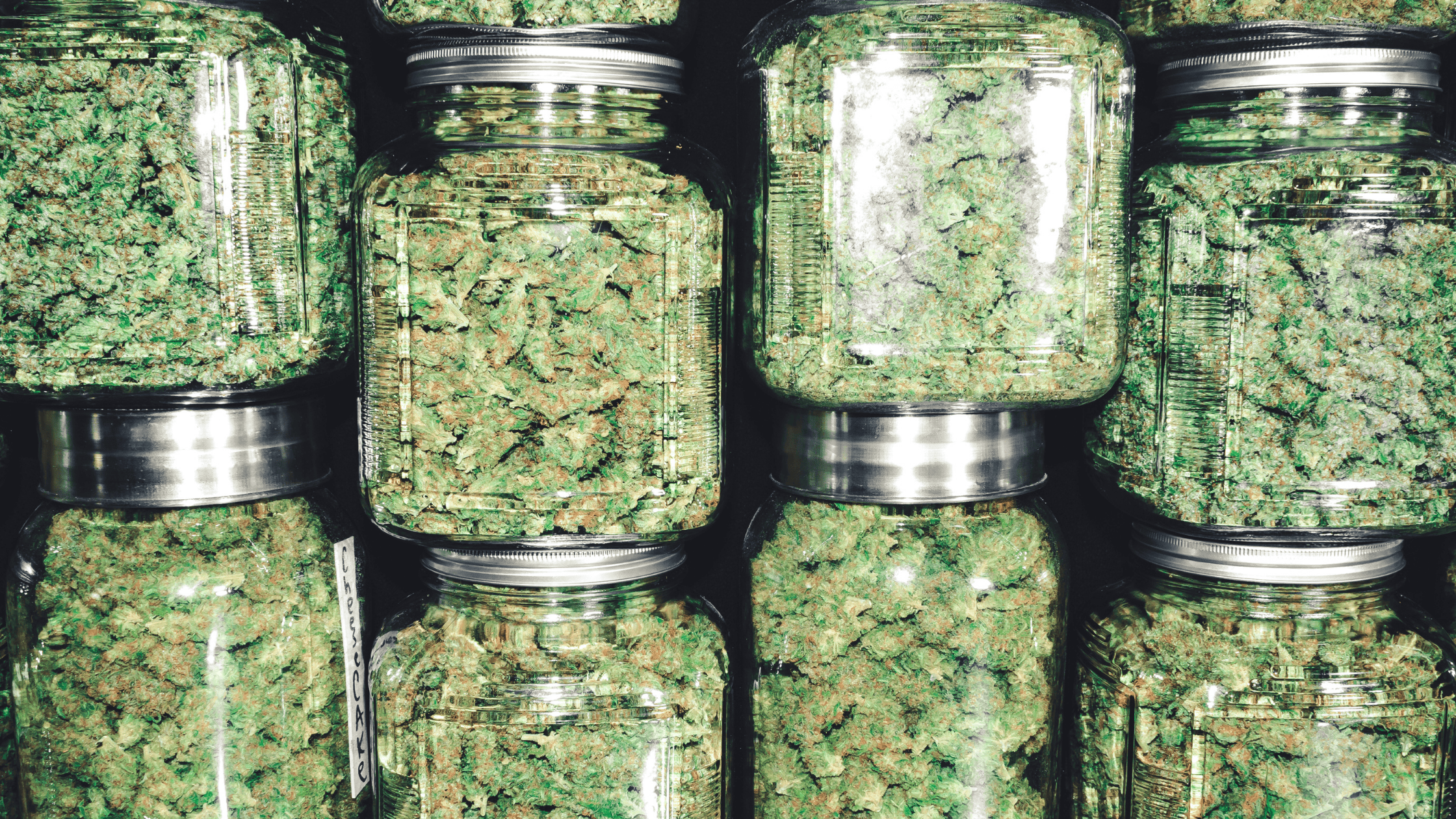 cannabis effects