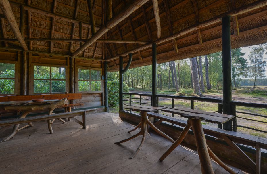 Psychedelic magic psilocybin truffle nature retreat