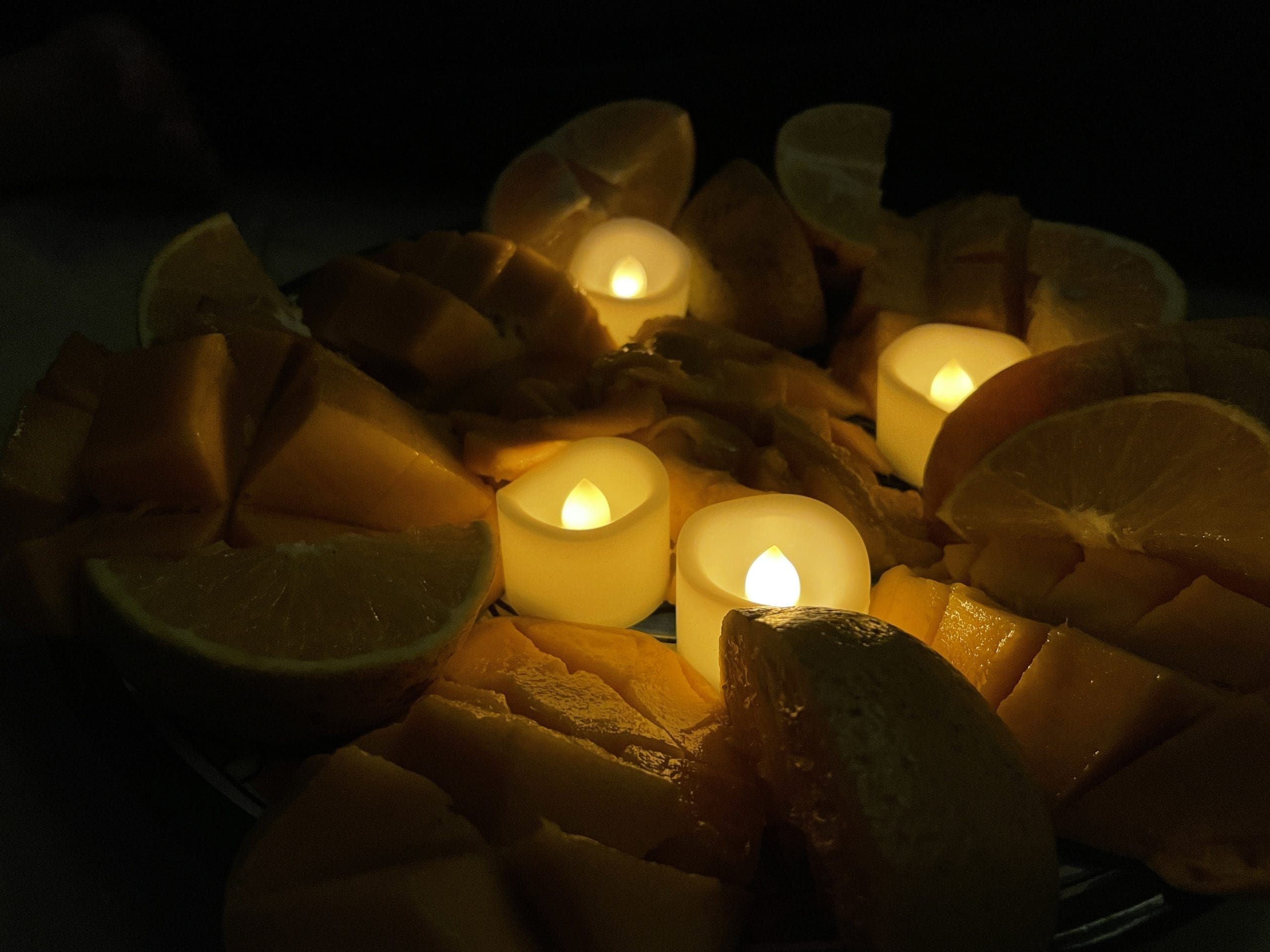 Healing with mushrooms in the heart of Playa del Carmen