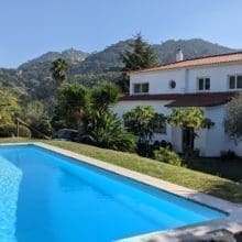 Bwiti Iboga Retreat – Portugal