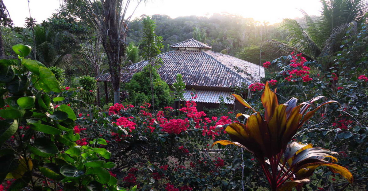 Spirit Vine Ayahuasca Retreats