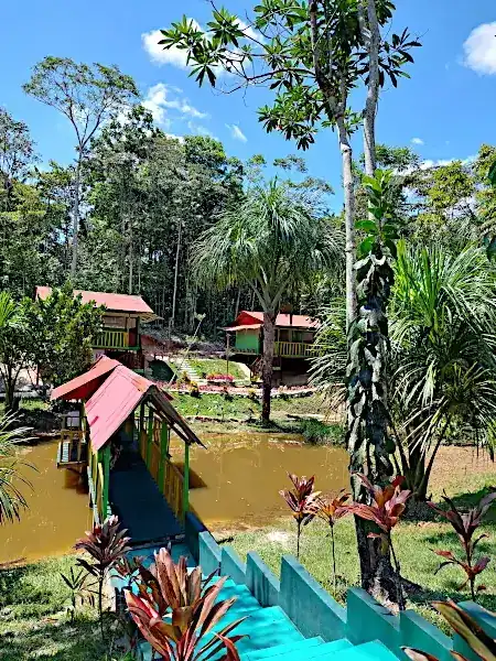 9 and 12 Day Ayahuasca Retreats at Hummingbird Healing Center