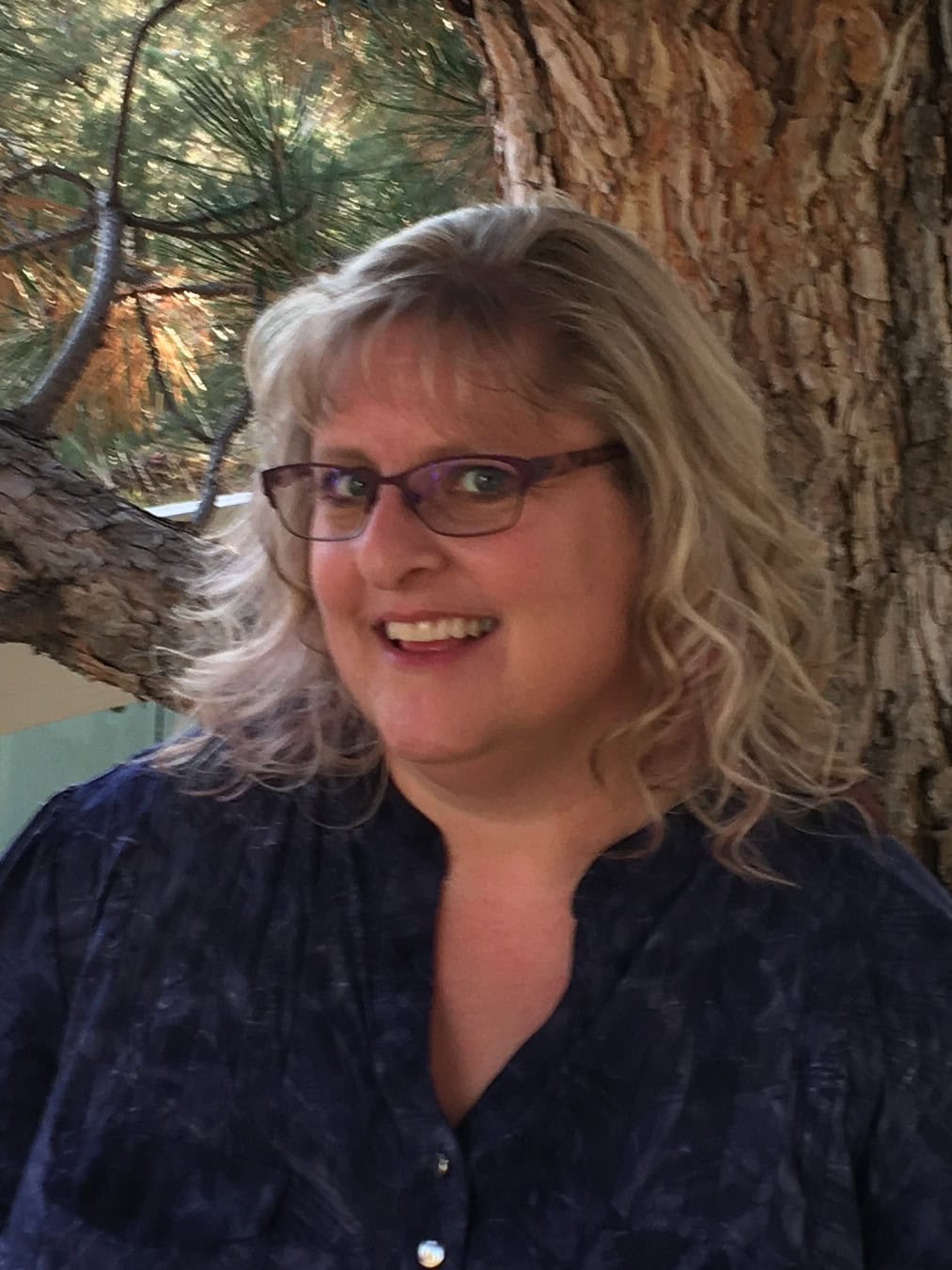 Mariposa Counseling Center