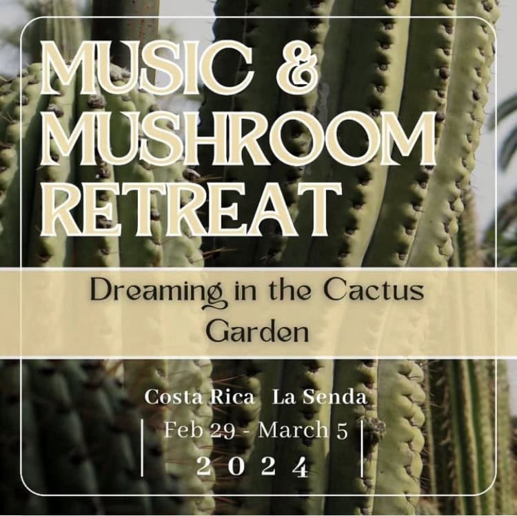 Music & Mushrooms: Dreaming in the Cactus Garden