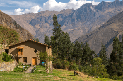 The Jungle Meets the Andes: Ayahuasca & Wachuma retreat