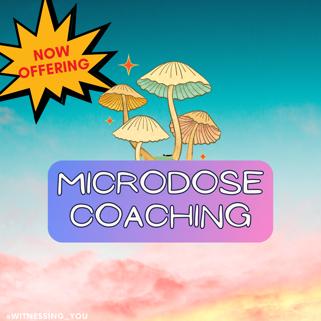 Psychedelic Integration Coach