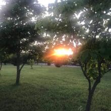 Sacred Pillars Church Psilocybin Mushroom Retreat Program in Oklahoma