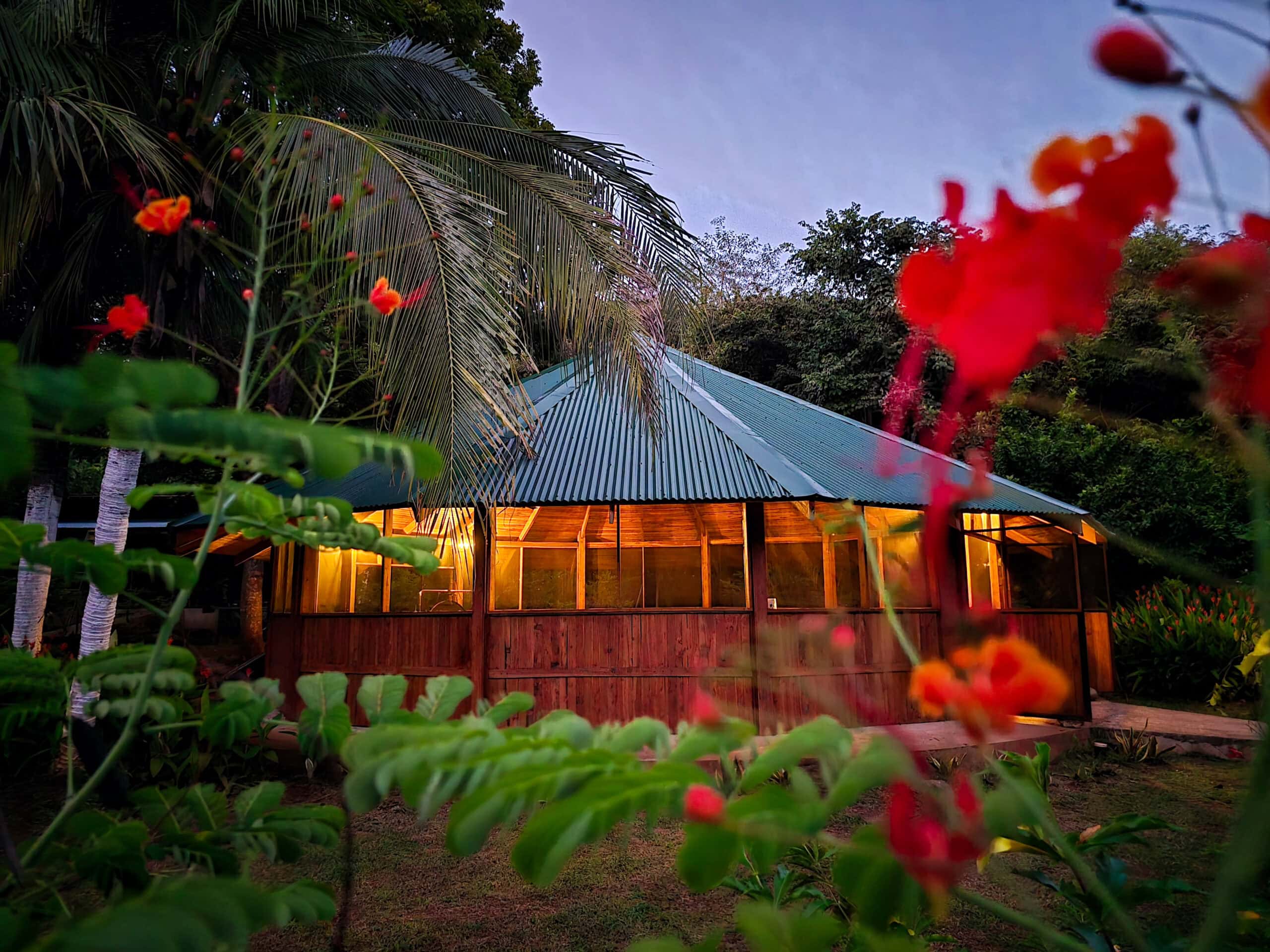 New Life Rising – Ayahuasca Retreat Costa Rica
