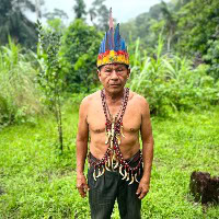 Amayas Ayahuasca Ecuador