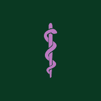 Transpersonal Medicine
