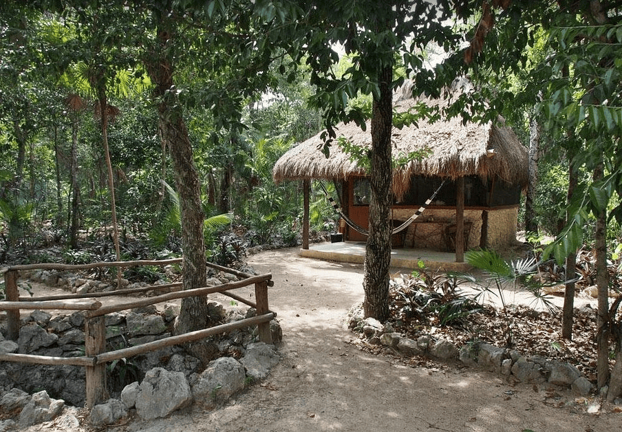 2-Day / 1-Night Psilocybin, Kambo & Bufo Sacred Healing Retreat in Mexico
